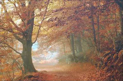 Autumn Dream