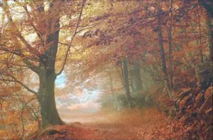 Autumn Dream