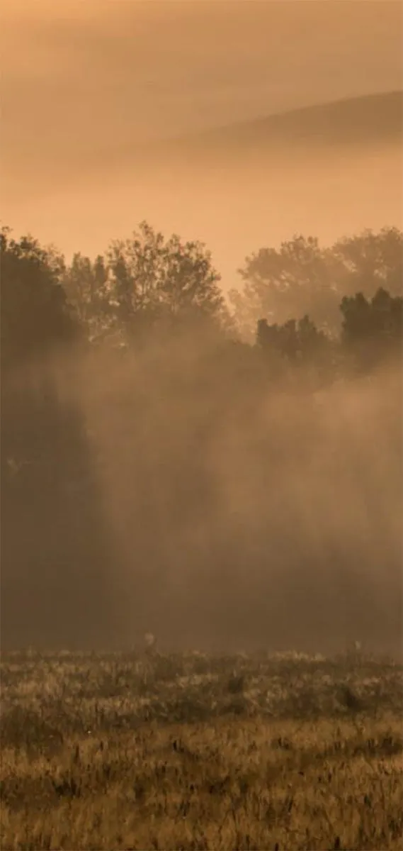Autumn in Lhoka