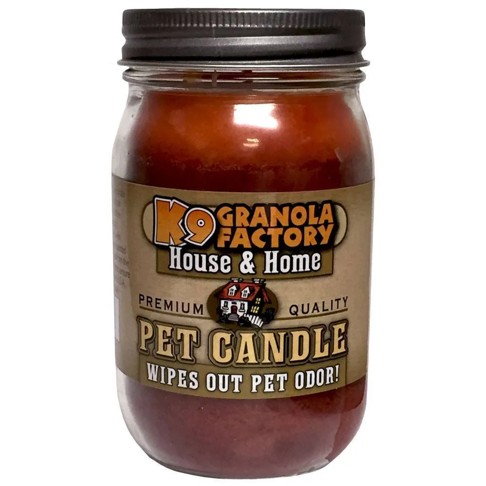 Autumn Leaf Pet Odor Eliminator Candle, 16-oz