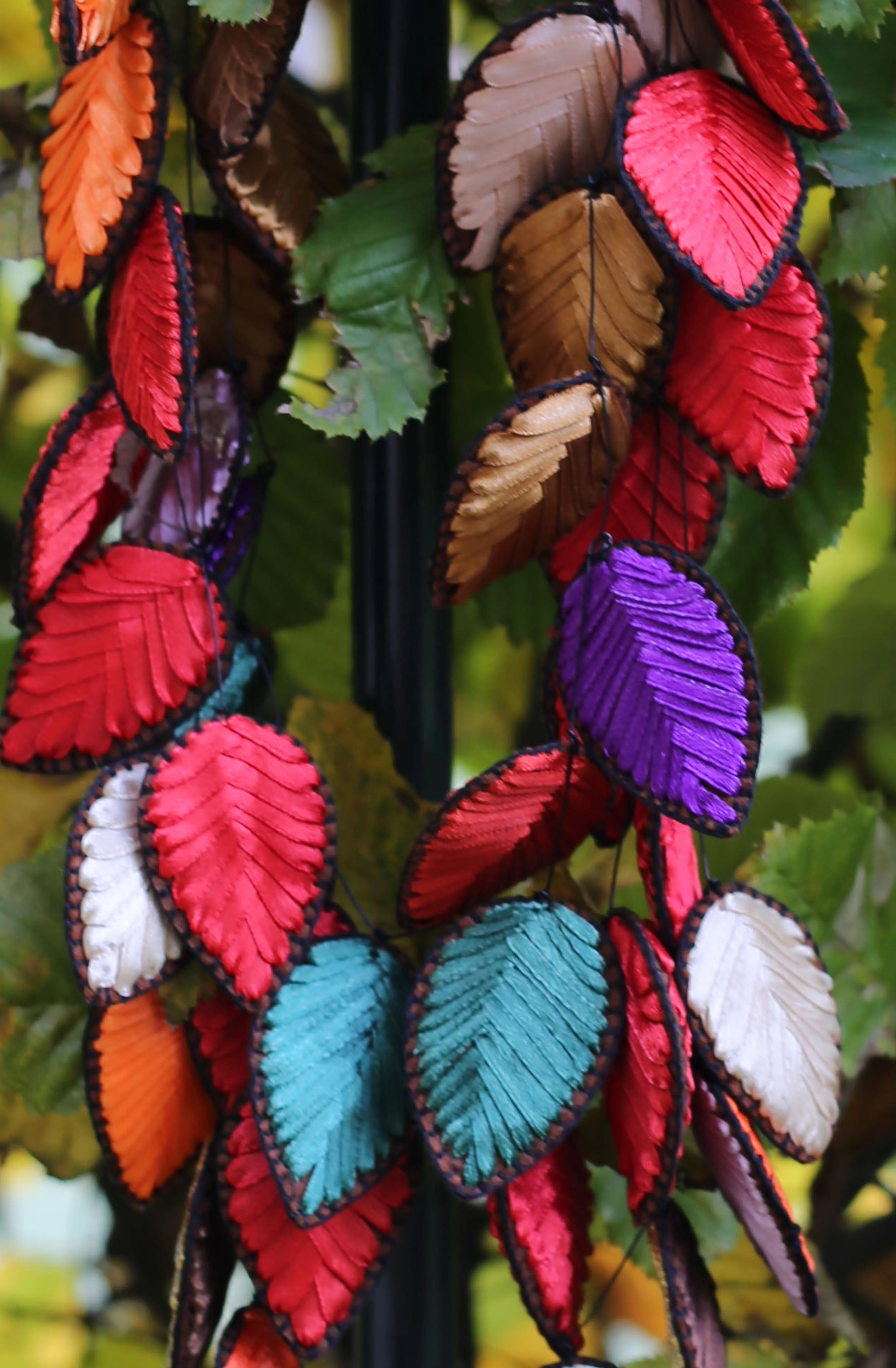 Autumn leaves 4