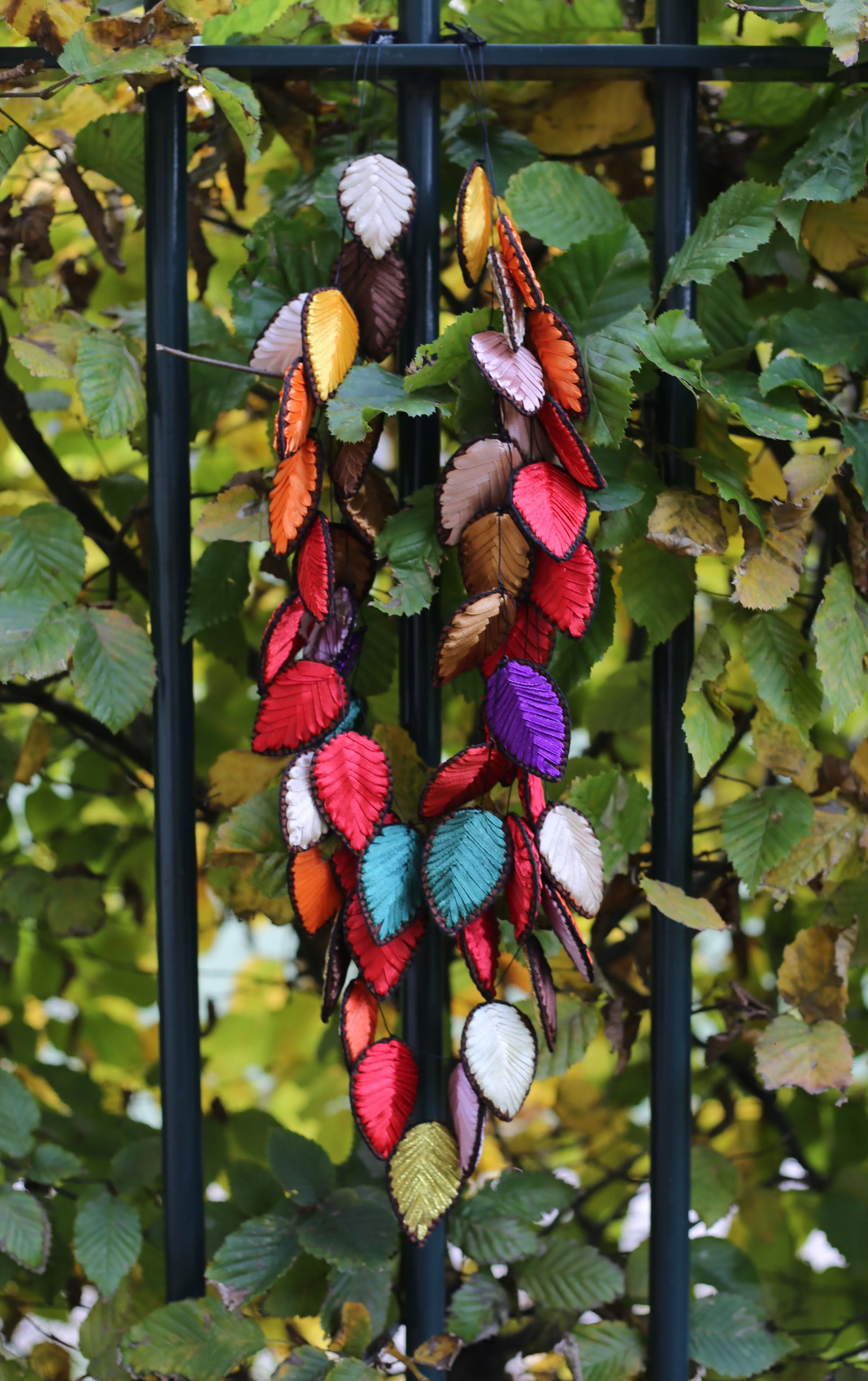 Autumn leaves 4