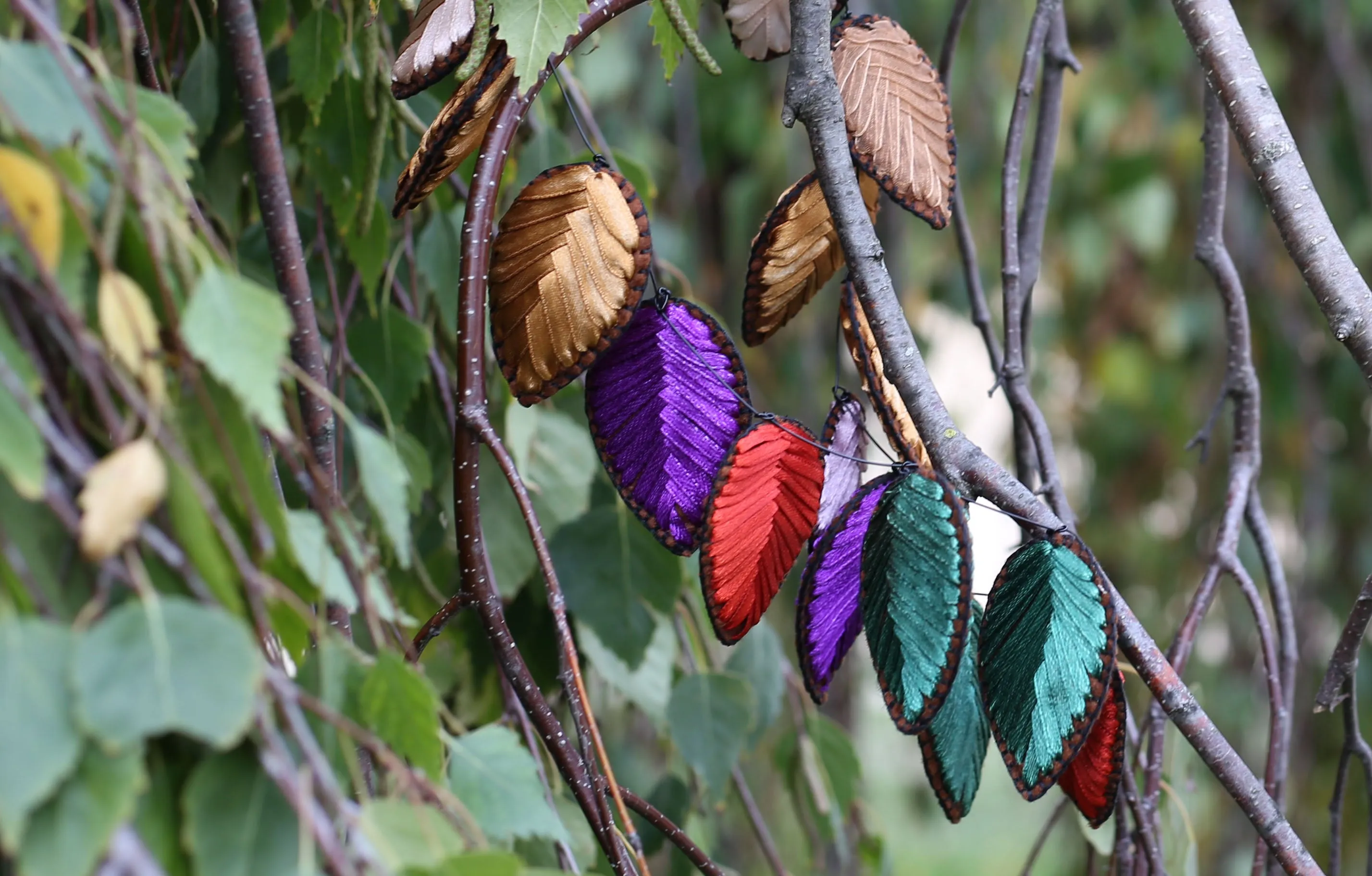 Autumn leaves 5