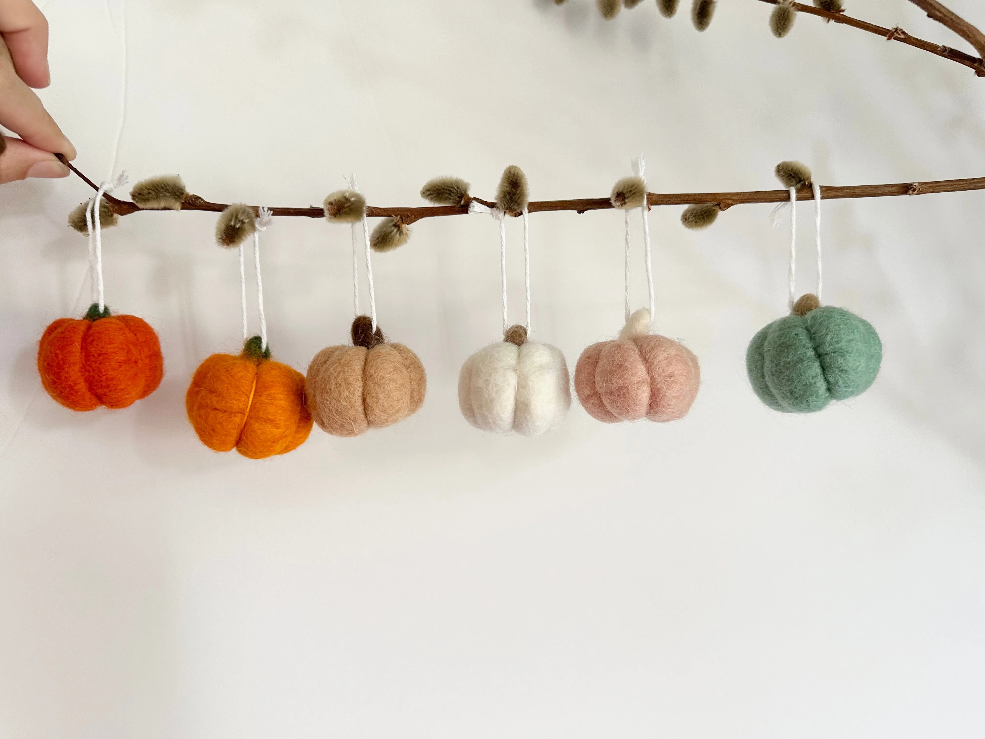 Autumn Ornaments