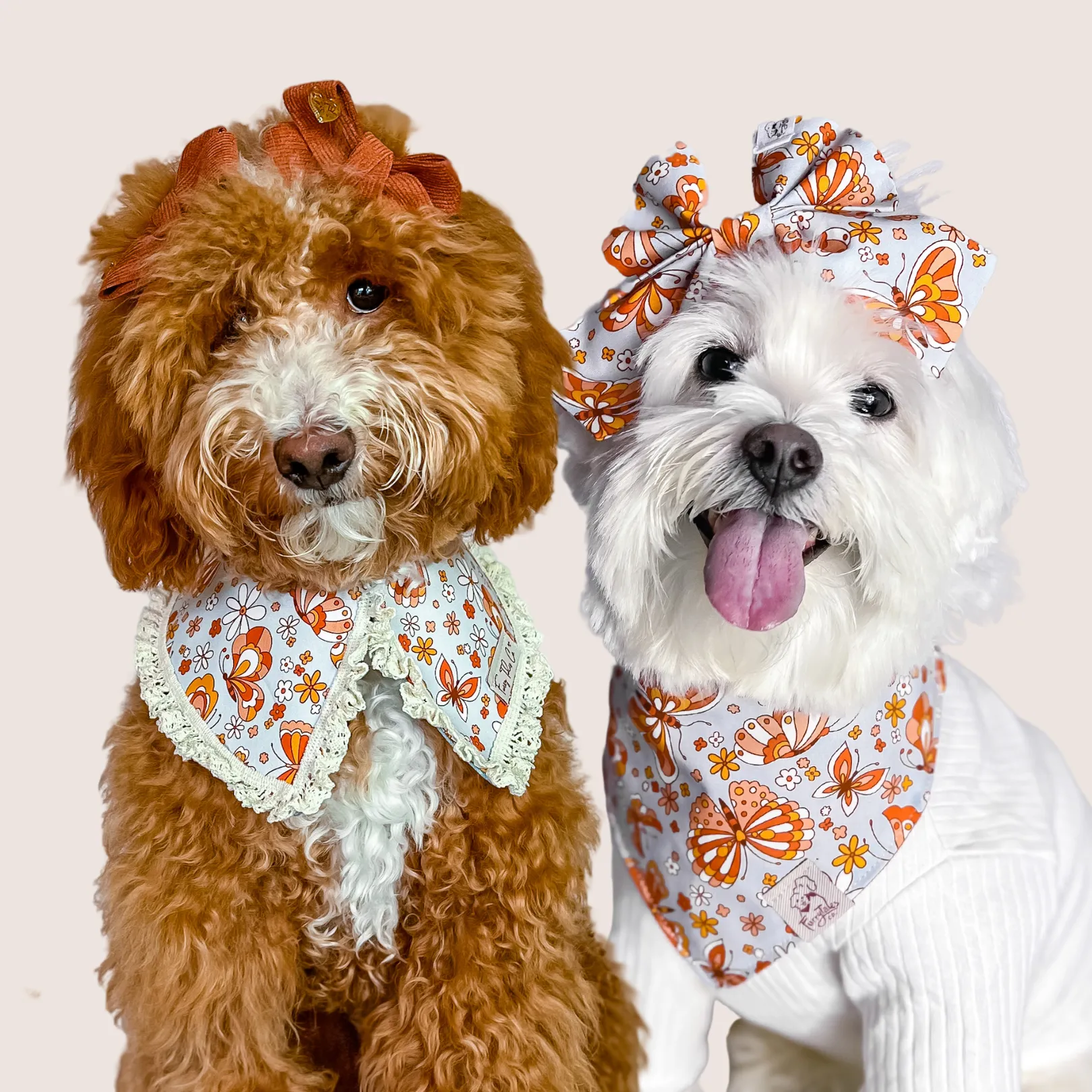 Autumn Sanctuary Bandana