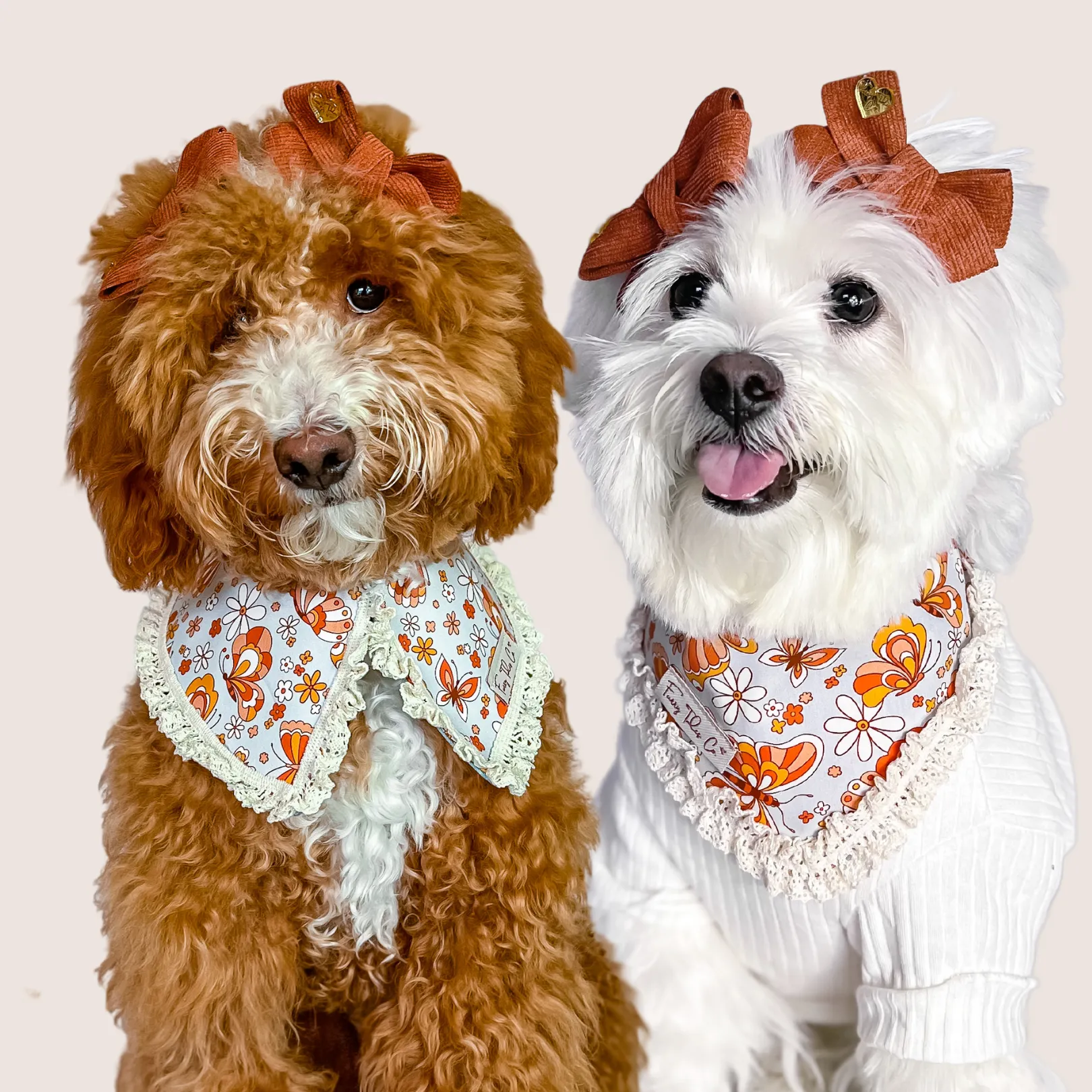 Autumn Sanctuary Bandana