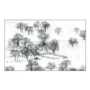 Bashang Winter
