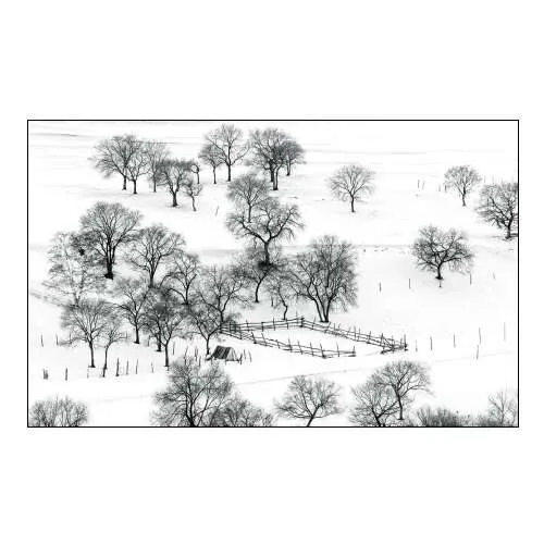 Bashang Winter