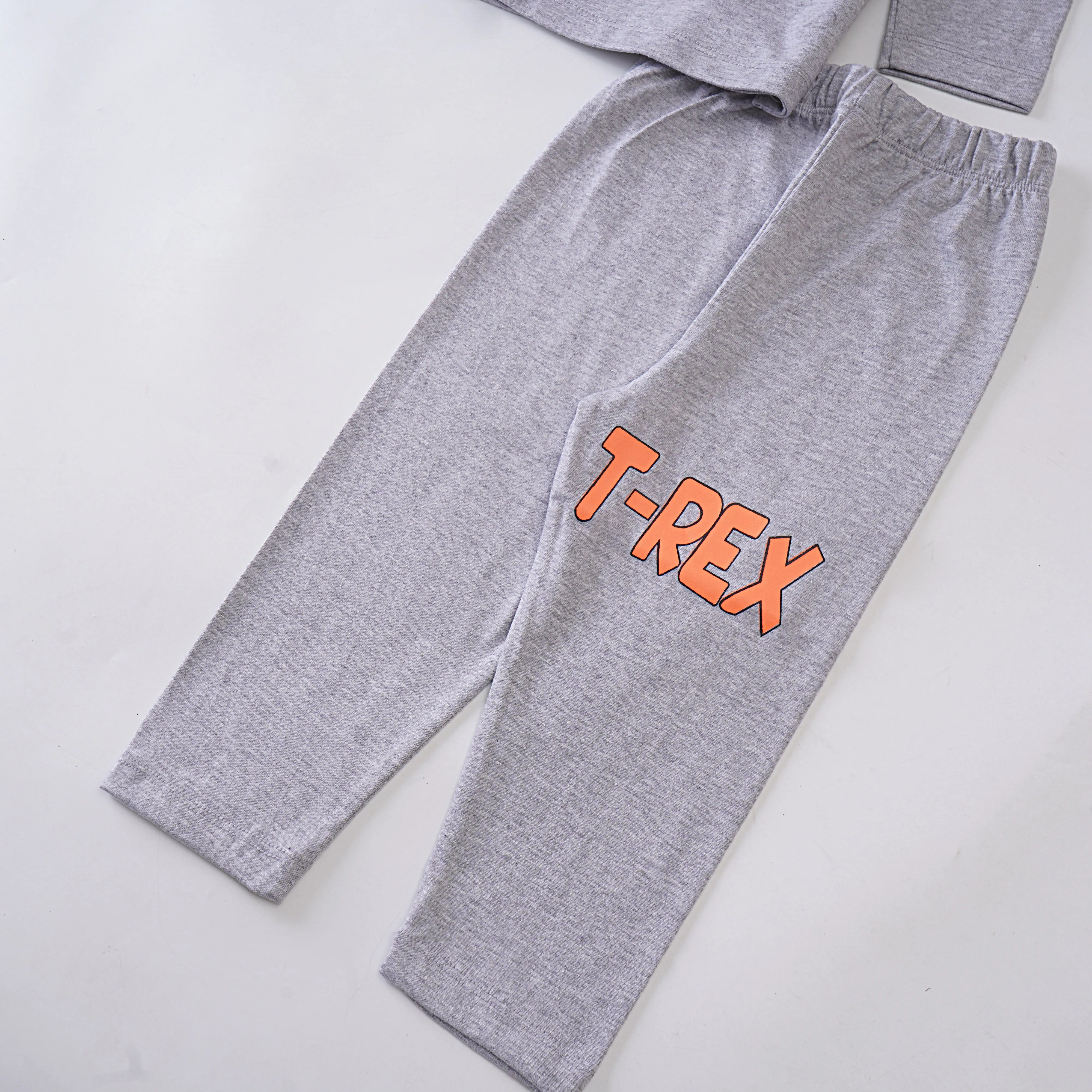 Boys Printed Full Sleeve Suit (Tyrranossorus)