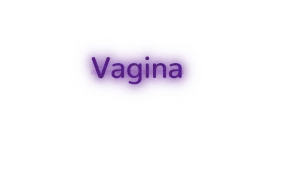 Custom text: Vagina