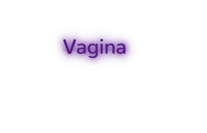 Custom text: Vagina