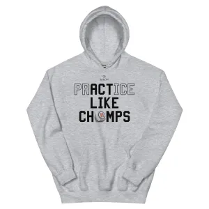 Hope College Flying Dutchmen 2022 Championship Hoodie