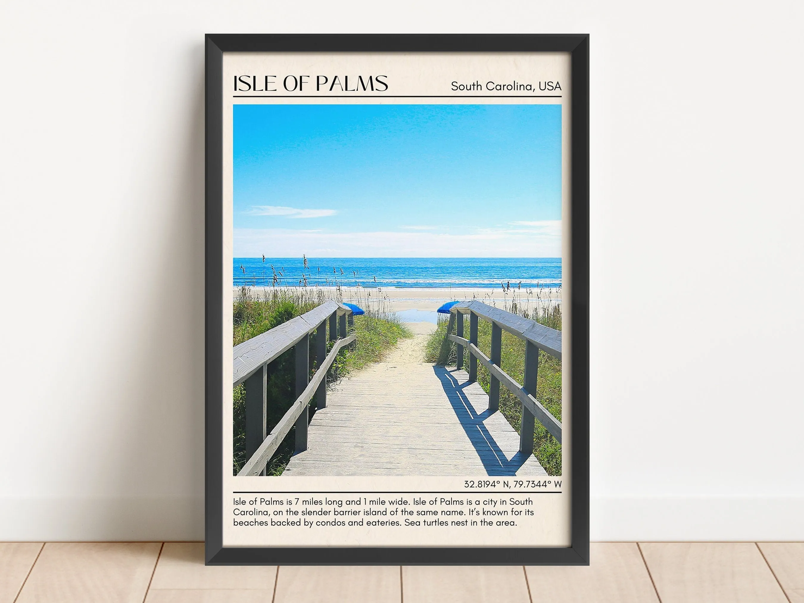 Isle of Palms Wall Canvas, USA