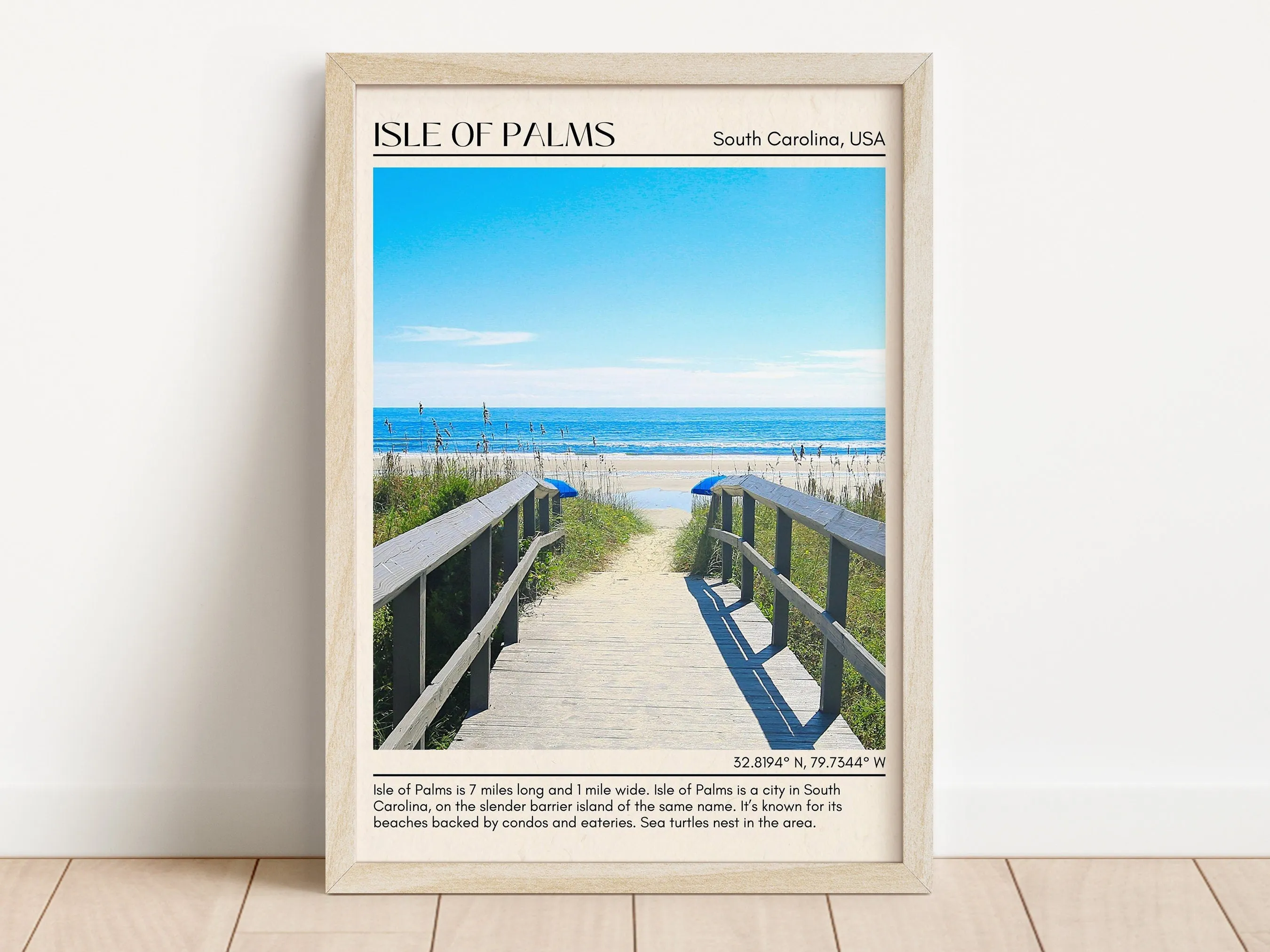 Isle of Palms Wall Canvas, USA