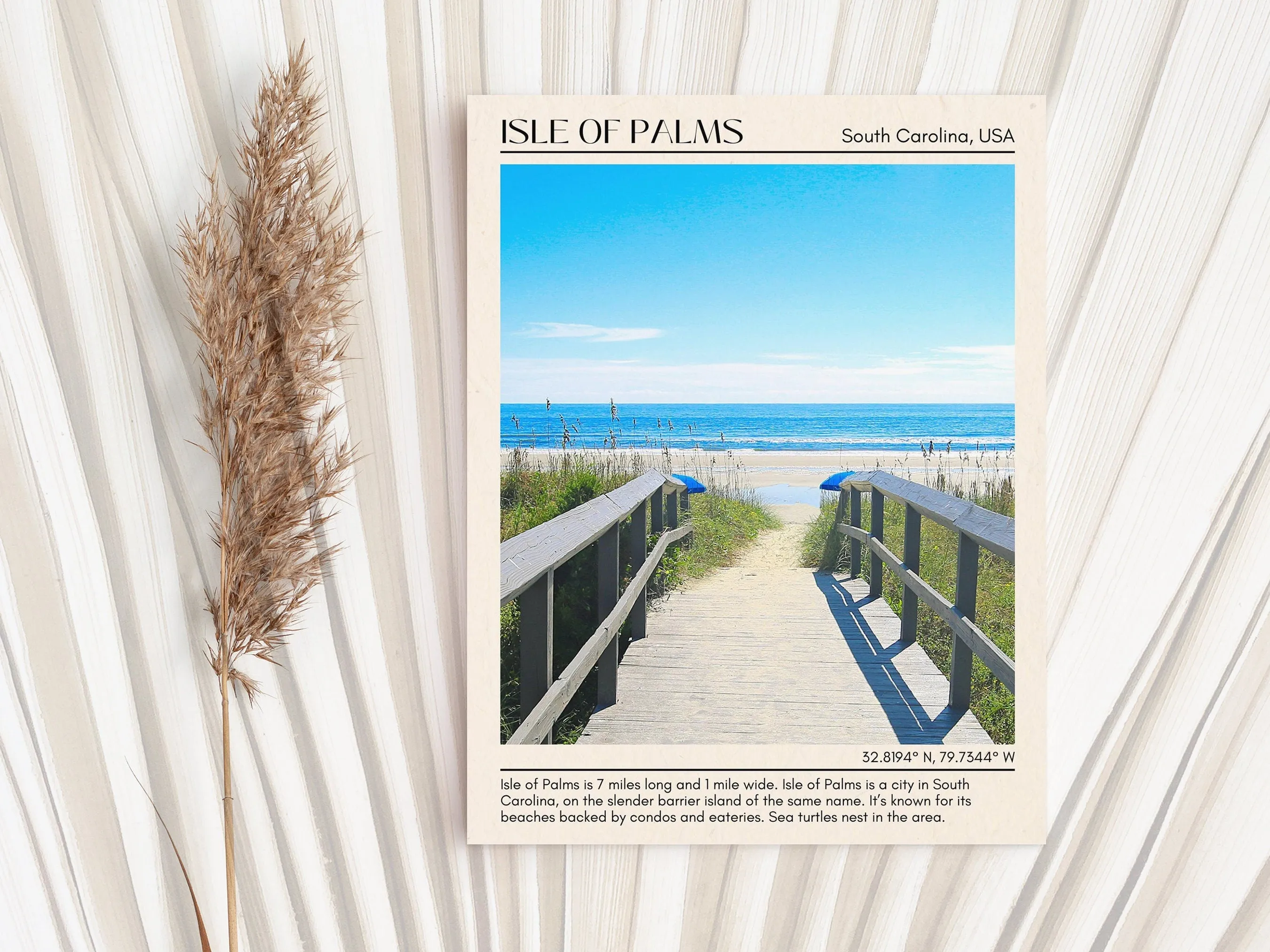 Isle of Palms Wall Canvas, USA