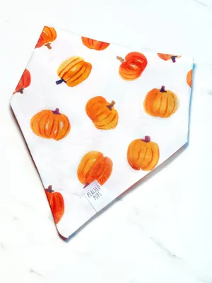 Pumpkin Patch