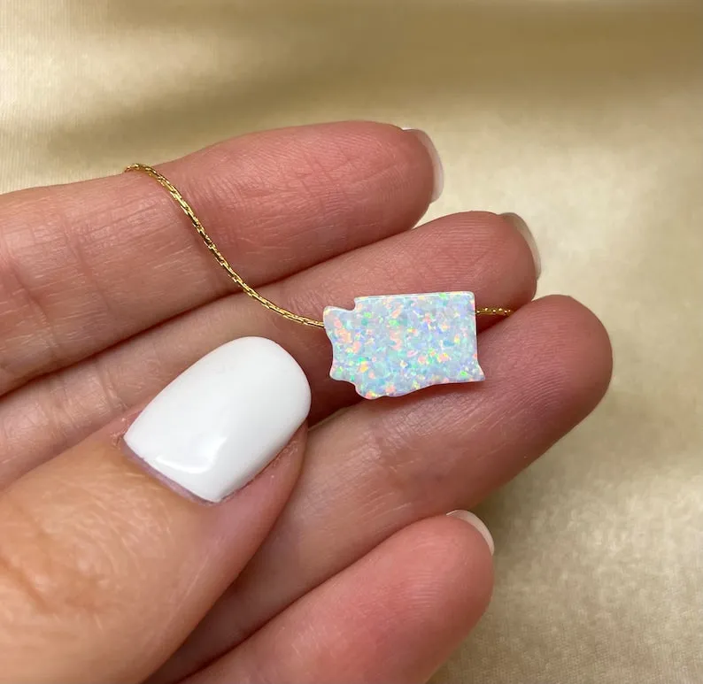 State Necklace –  USA Map Charm