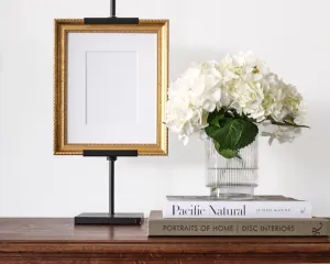 The Georgia Frame