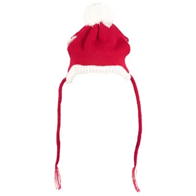 The Worthy Dog Santa Hat