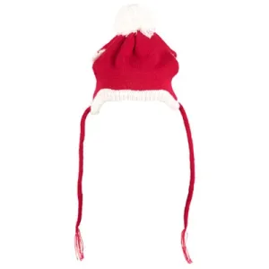 The Worthy Dog Santa Hat