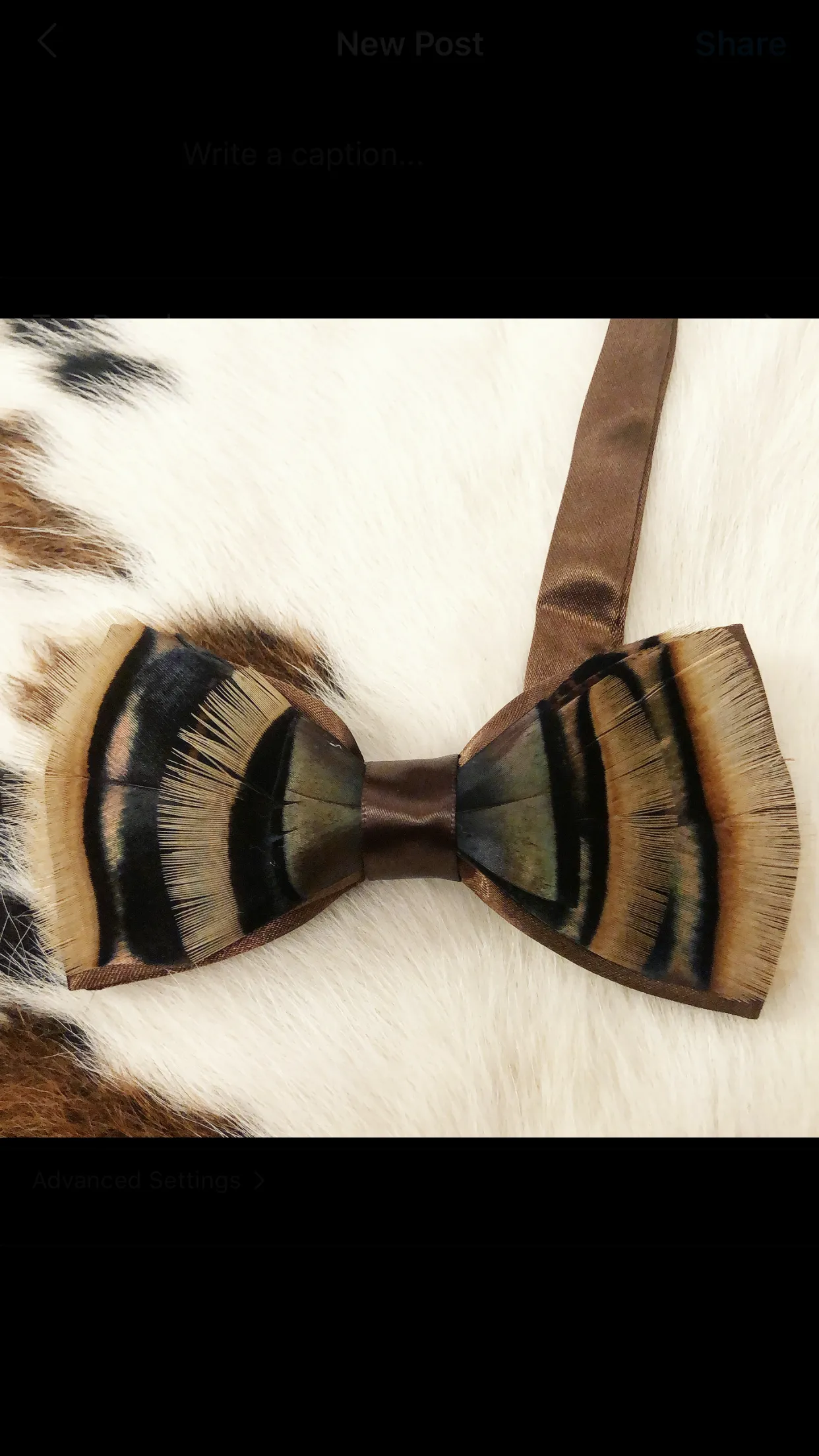 Turkey Feather Bow tie